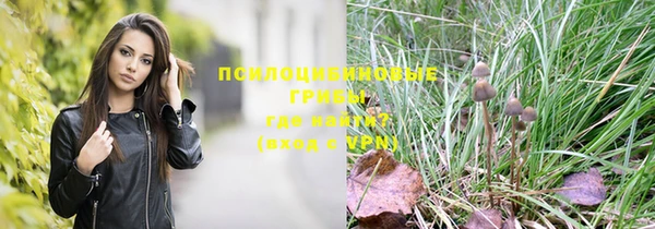 ПСИЛОЦИБИНОВЫЕ ГРИБЫ Беломорск